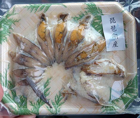 北の地方にある県ではお馴染みの味「飯鮨（いずし）」ってどんな郷土料理？