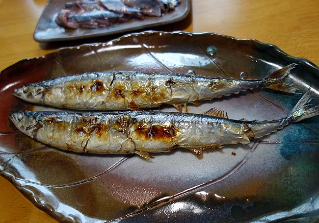今年はサンマが大漁！ついに生秋刀魚が100円切ってきて初焼きサンマと刺しサンマに！（北海道根室産）