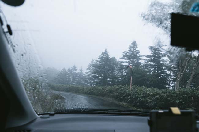 誰や！北海道には梅雨がないって言った奴は！！かれこれ2週間は1日晴れって日がない・・・