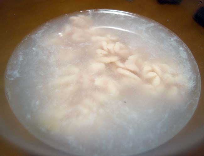 北海道では冬に大量に出回っています♪真ダラ白子を使った「タチ味噌汁」