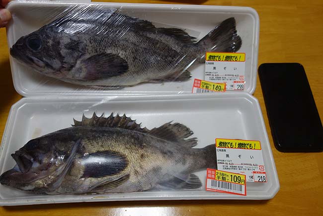 北海道でないと食えない魚 黒ソイ チヌにも似たその魚を塩焼きと煮付けに 人はネット収入だけで生活できるのか 能なしアラフィフおっさんの無職日記