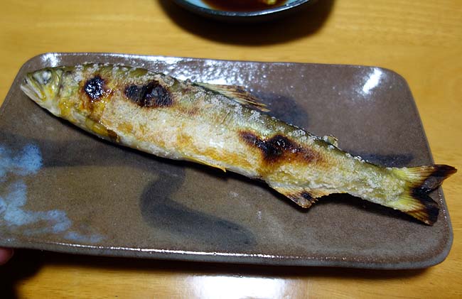 北海道ではまずお目にかかれない[鮎]やっぱグリルで「あゆ塩焼き」に