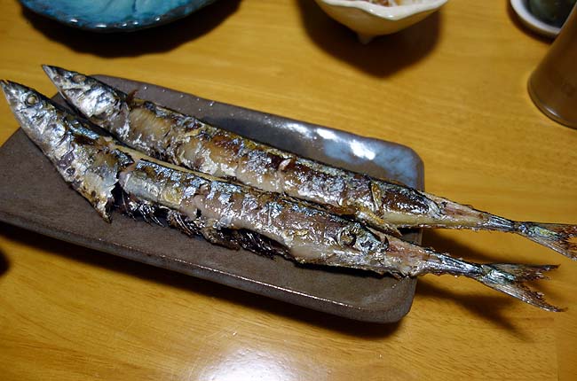 サッポロ一番塩らーめん/カオマンガイ/生焼き秋刀魚/冷凍お好み焼き/しらすおろしの小ネタ