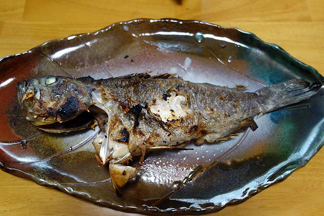 北海道でないと食えない魚「黒ソイ」チヌにも似たその魚を塩焼きと煮付けに