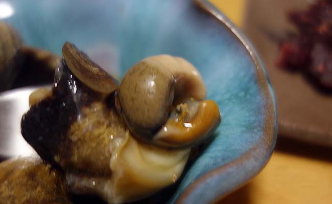 北海道代表格の貝と言えば「つぶ貝」！今回は煮付けにしてみました
