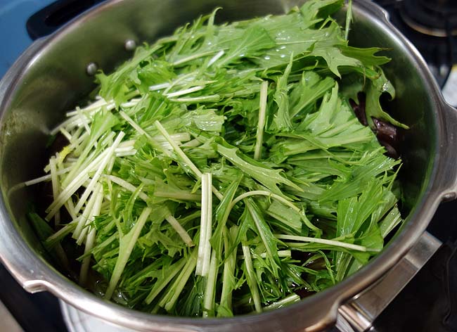 いただきもののナスそして見切り品の大根・ほうれん草・水菜で節約野菜の煮物